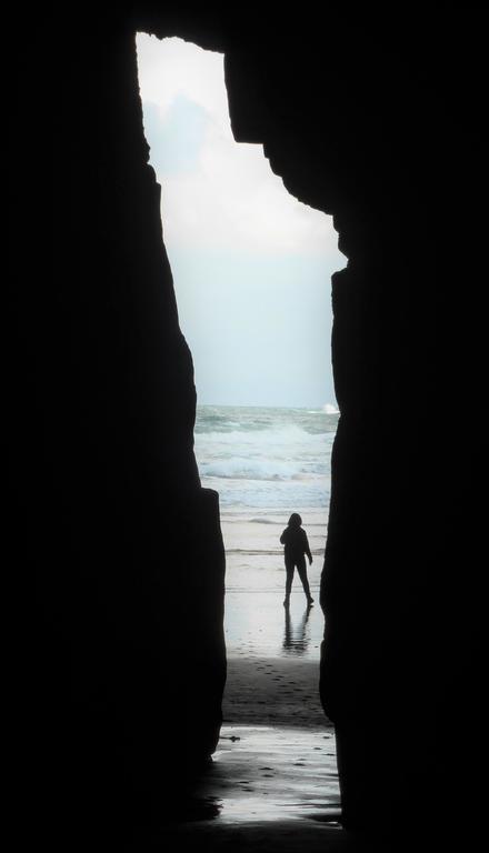 Surat Bay Lodge By The Sea/Backpackers Hostel Owaka Buitenkant foto